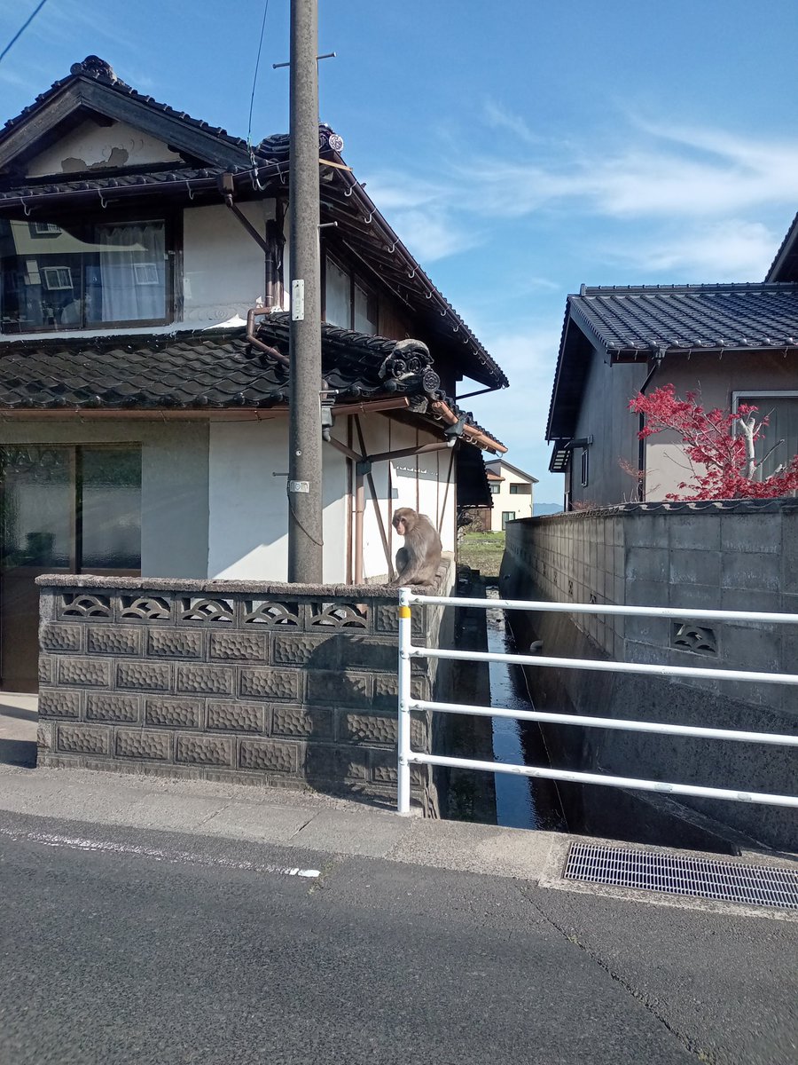 湖陵の町に猿がいた