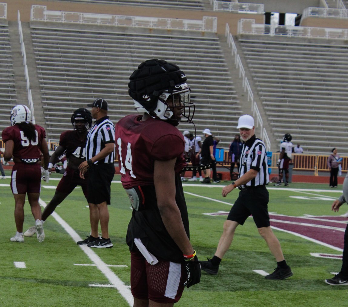 Tochi Nnoruka tweet media