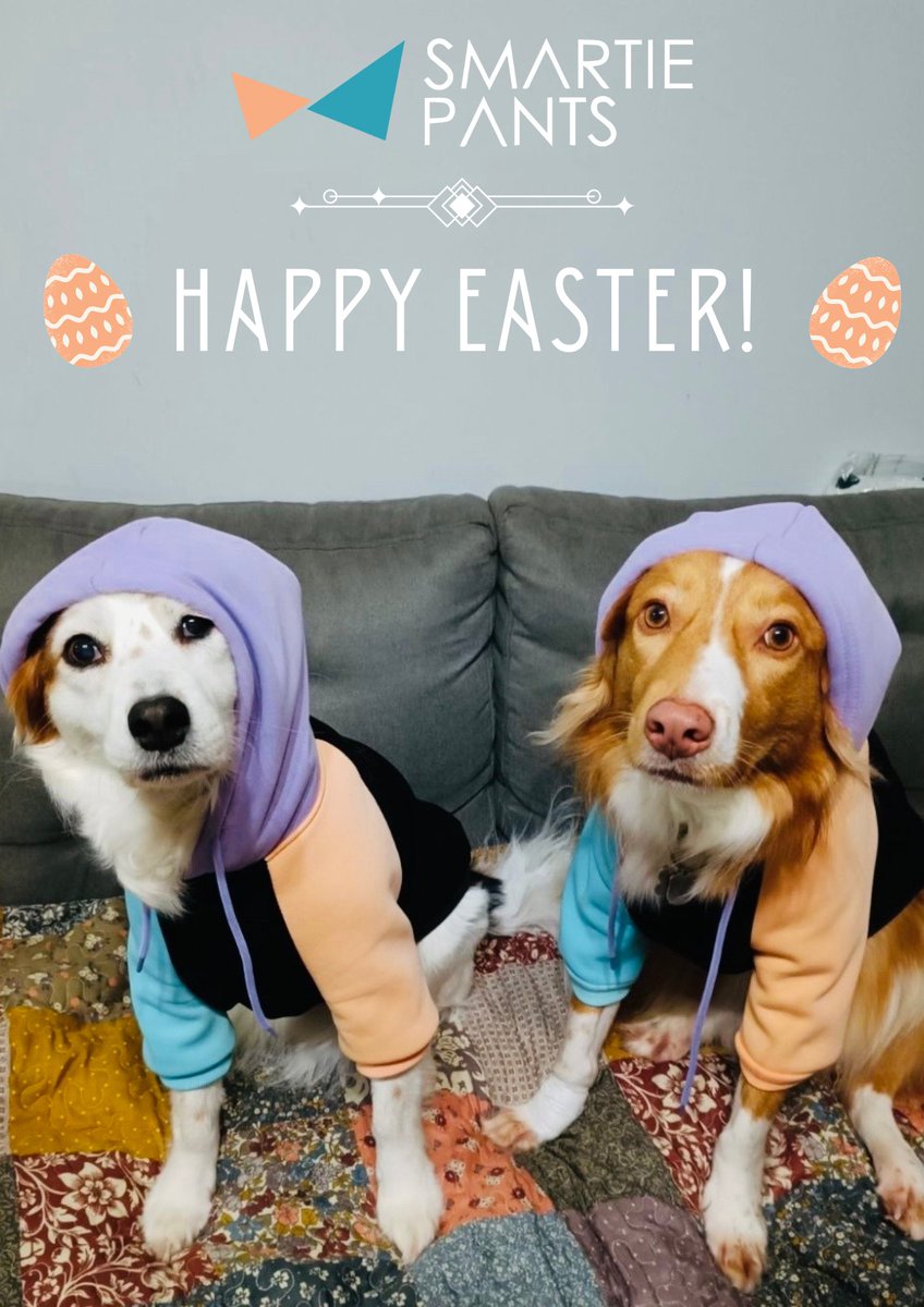 SmartiePantsApp's tweet photo. 🐣 #HappyEaster from all of us to you! 
Wishing you a joyful holiday! 
Ssee 2 of our favorite team members rocking the brand colors in full festive spirit— the pups know how to show company pride.
#SmartiePants #EasterVibes #TeamSpirit #OnBrandAndOnPaw #DogLife #DogsofInstagram https://t.co/q2JQiwQfPu