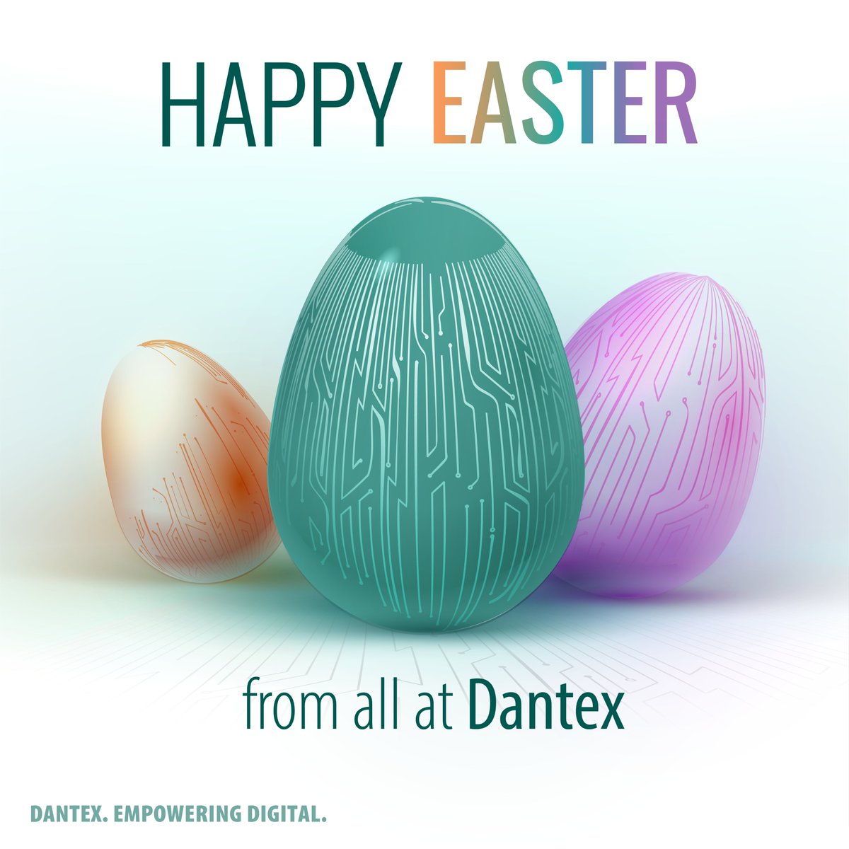 Dantex (@dantexglobal) on Twitter photo 