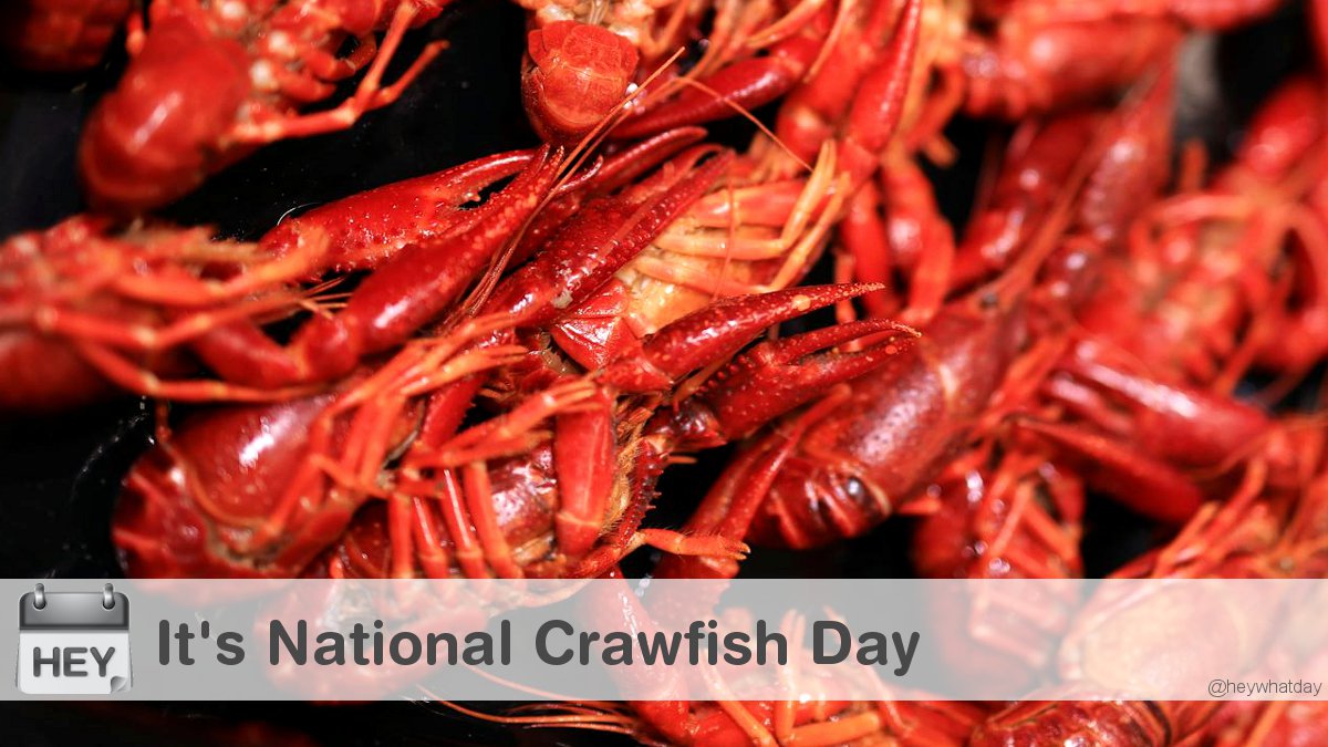 HeyWhatDay's tweet photo. It's National Crawfish Day!
#NationalCrawfishDay #CrawfishDay #Crawfish https://t.co/ygyiBNUmjN