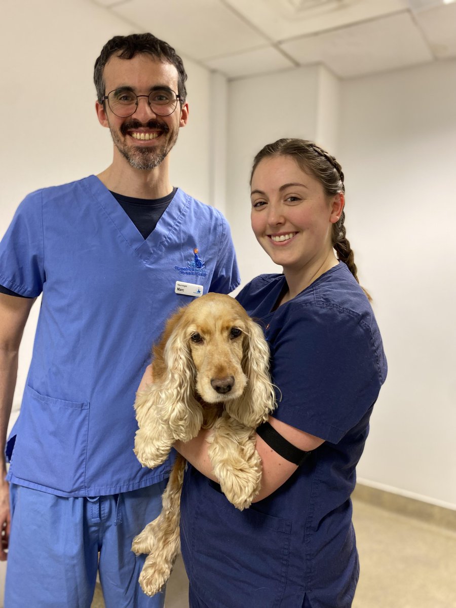 Wishing everyone a happy #Easterweekend with your animal friends!🐣🐰🌷

We're here 24/7 for emergencies if your vet needs to refer to us.

Our reception is open for all other enquiries:

Good Friday 10AM–4.30PM
Saturday 8.30AM–4.30PM
Easter Sun 10AM–4.30PM
Easter Mon 10AM–4.30PM