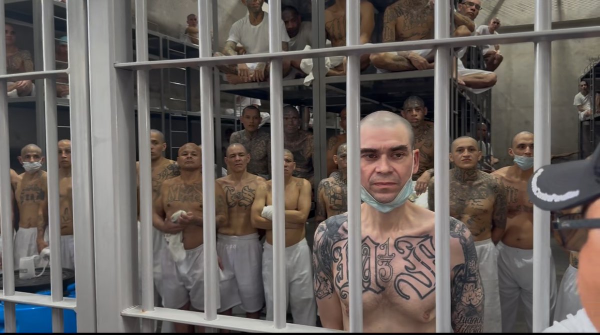 Rep. Claudia Tenney tweet media