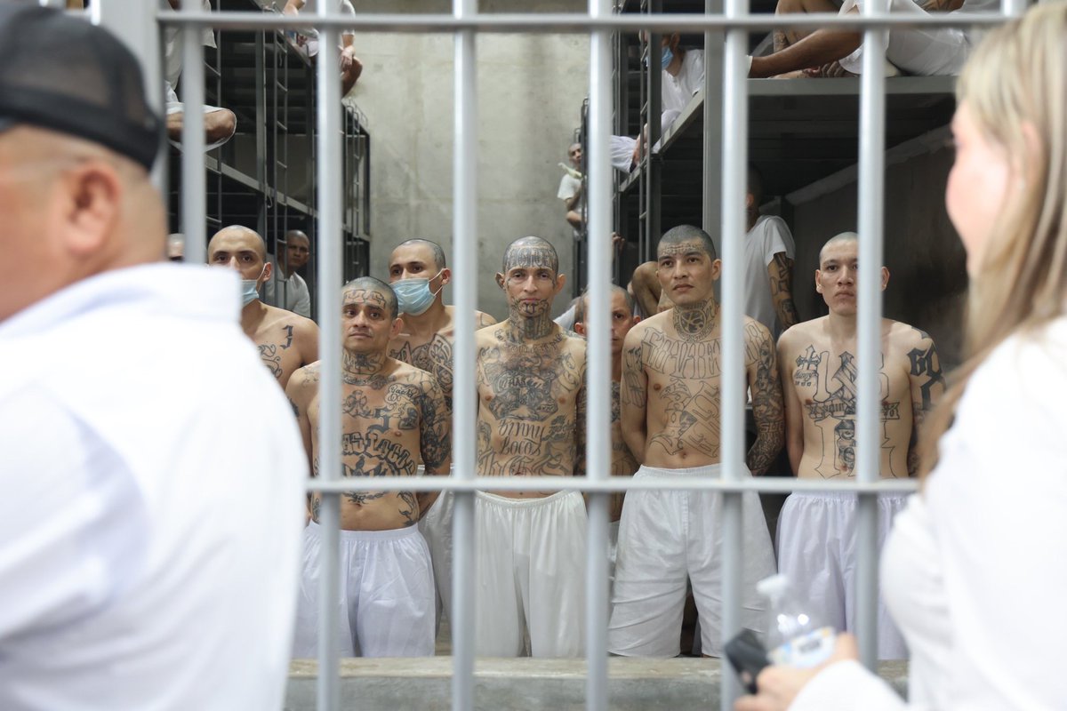 Rep. Claudia Tenney tweet media