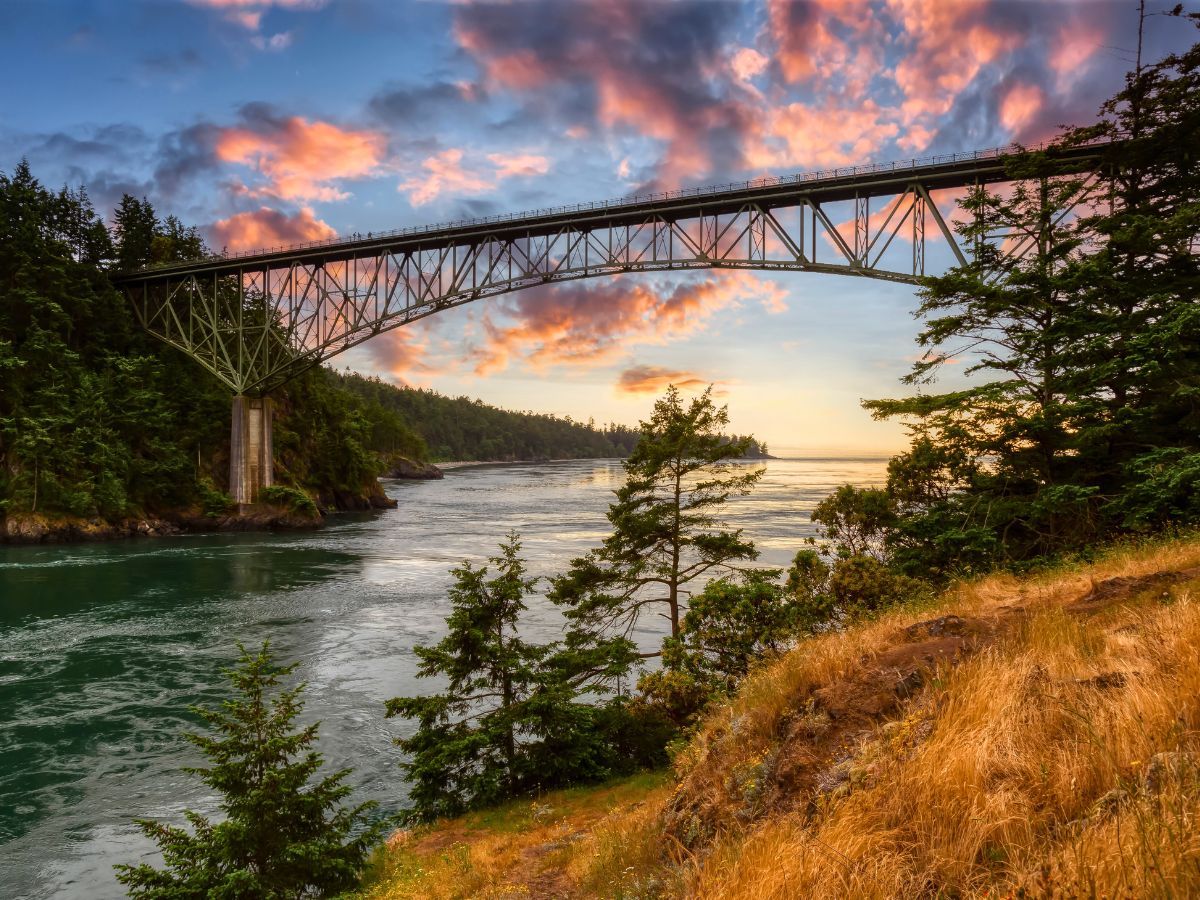 Sage Scott tweet media