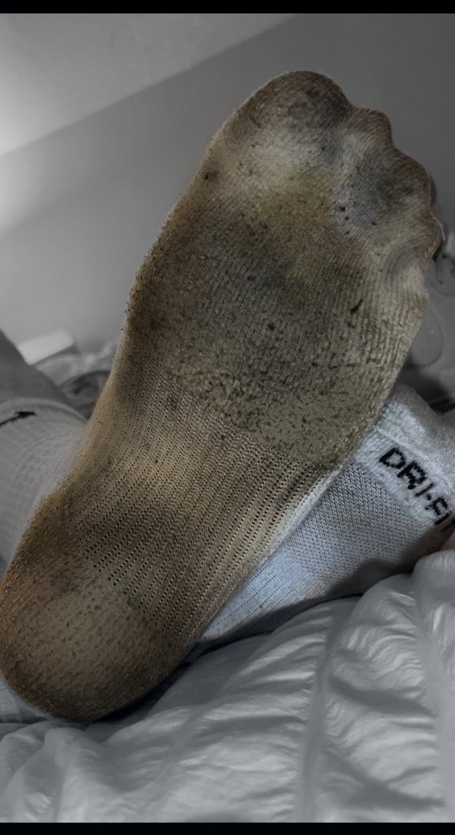 luca Rocco tweet media