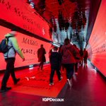 Photo by IGPDecaux (@IGPDecaux)