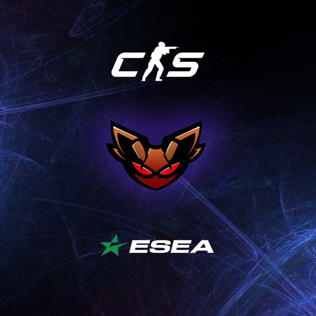 Mosquito Clan tweet media