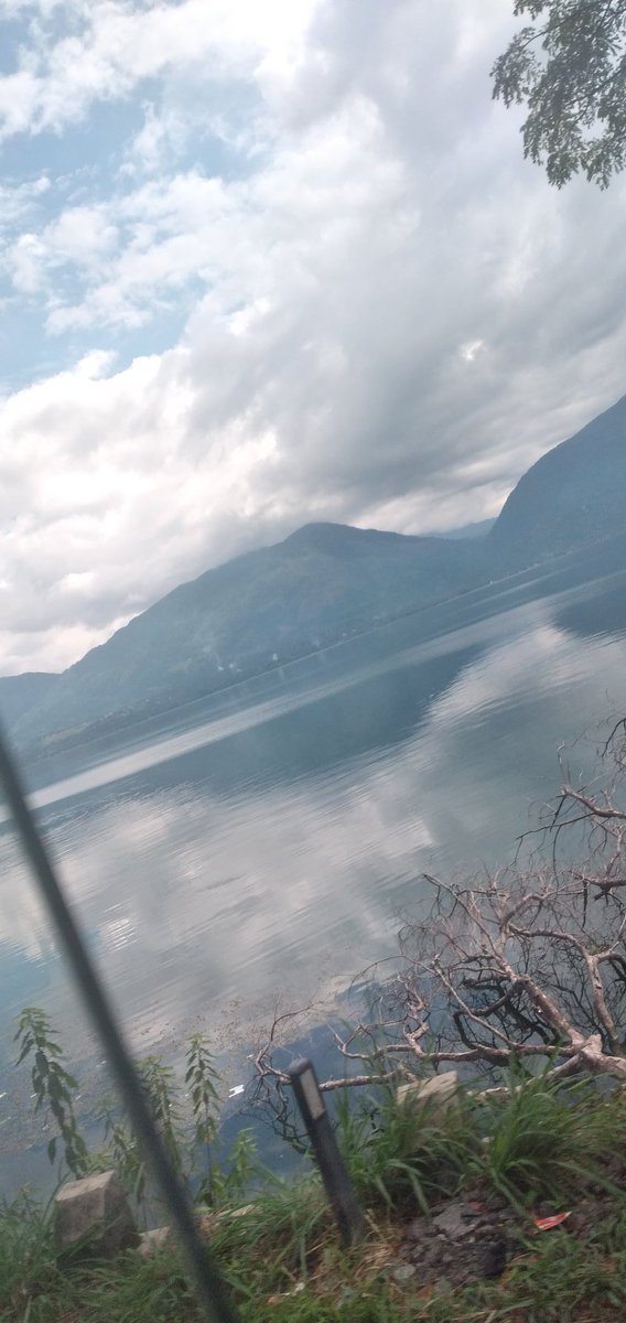 Harimauminang (@harimauminang) on Twitter photo 