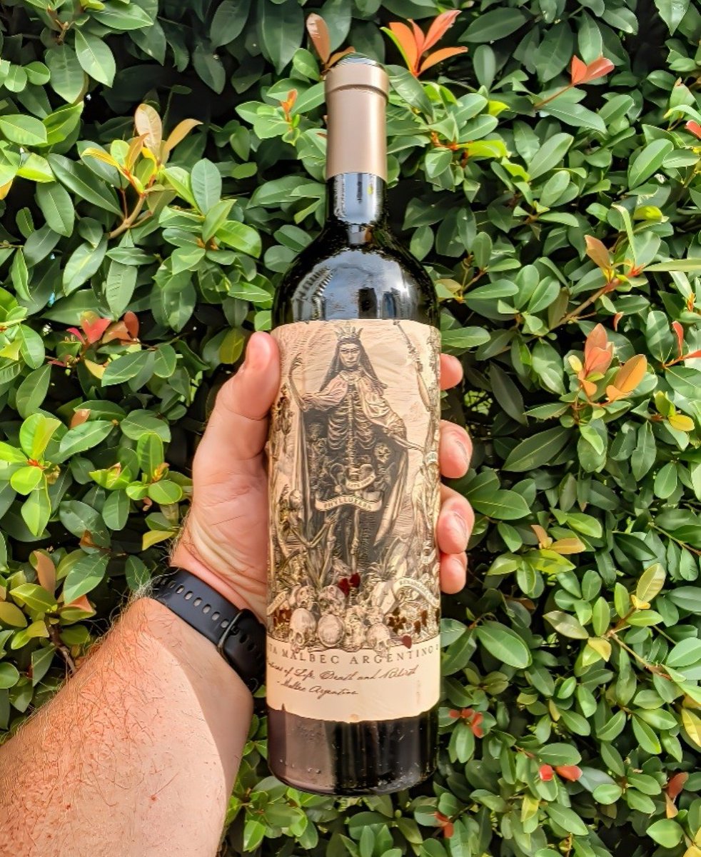 Jorge Ferrari ® tweet media