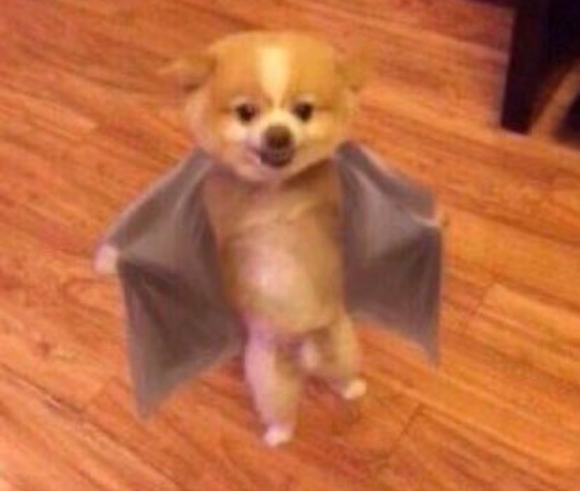 If you come back home 
Not to find your horny husband ready for Milabino 🤣🤣🤣🙌