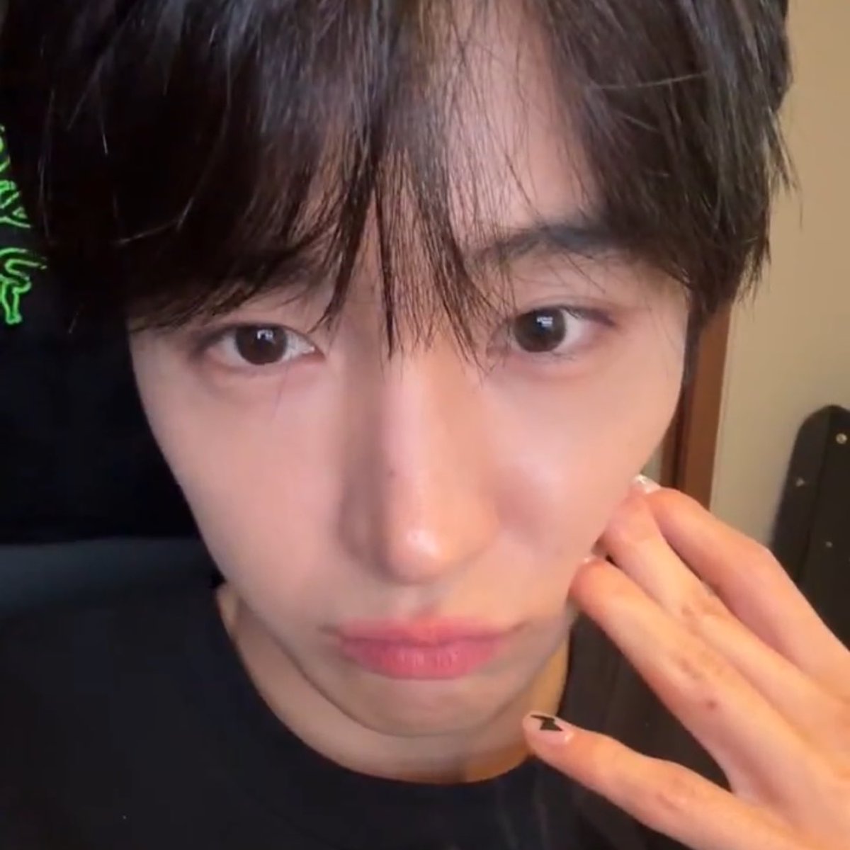 제발이강아지뭐야너무귀여우ㅓ🥹🥹🥹🥹