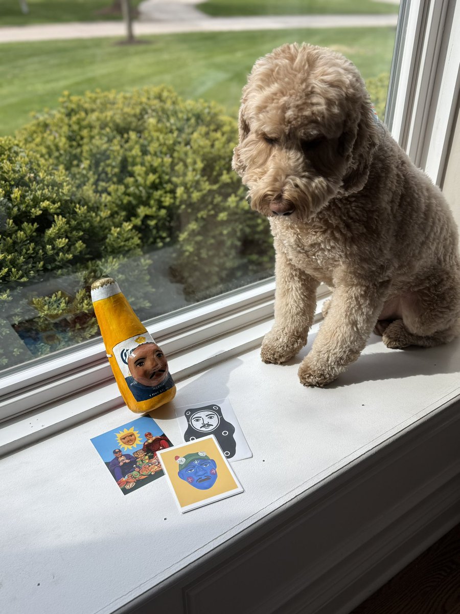 Zanzibar 🐸 tweet media