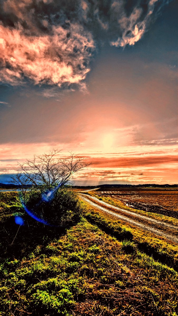 mvkqV4BWpFRLset's tweet image. 枝のスズメと夕焼け🌇眺める〜ふ〜〜