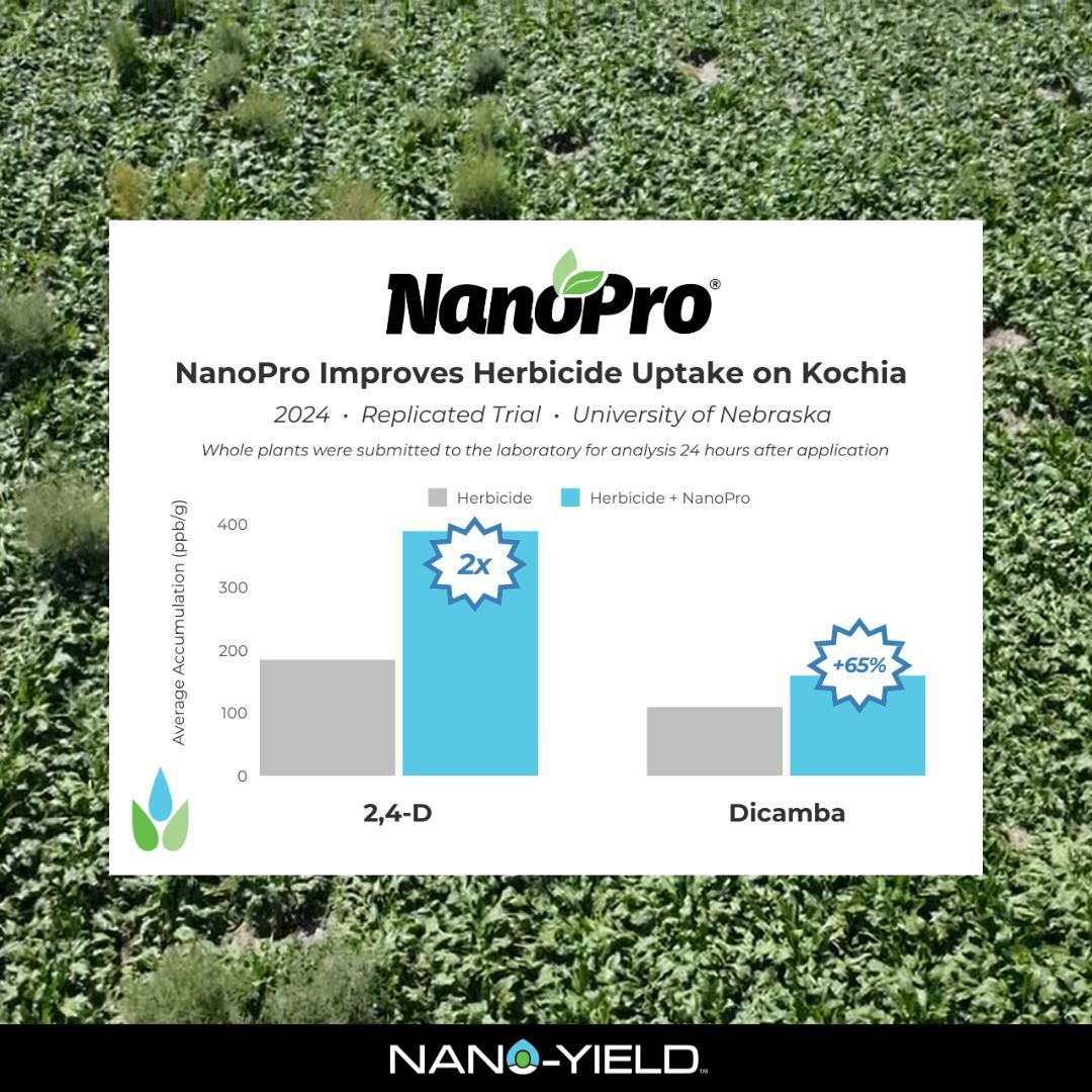 Nano-Yield tweet media
