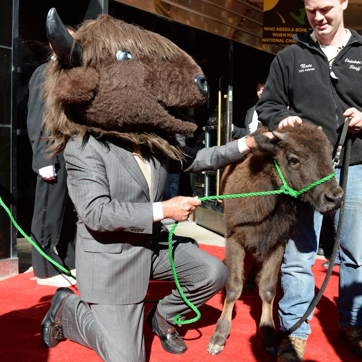 NDSU Football tweet media