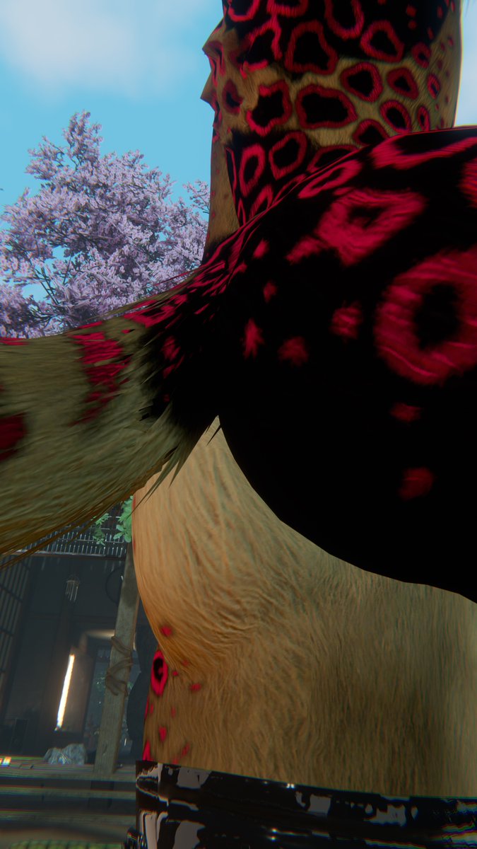 You said you only wanted to look… right?