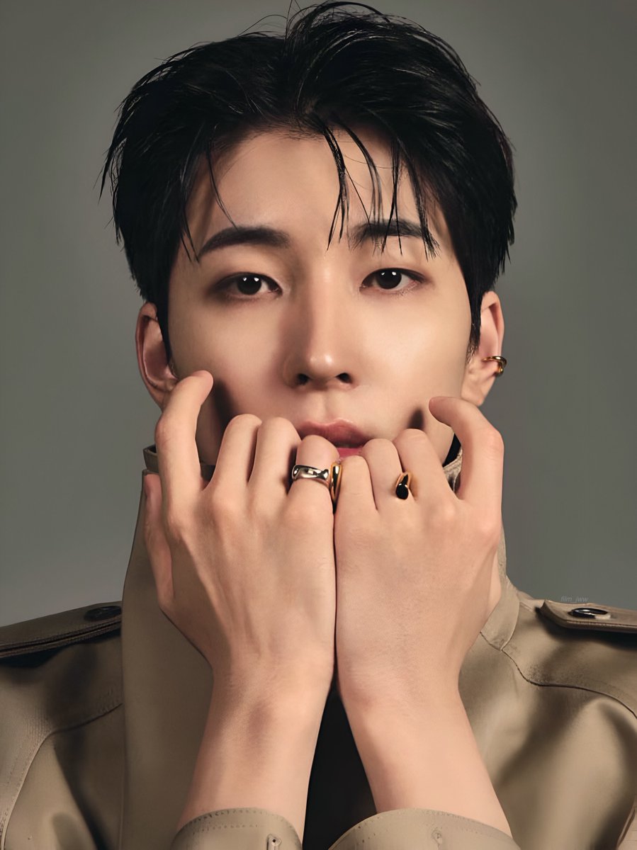 JEON WONWOO 🤎 #원우