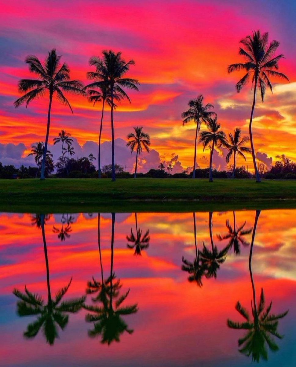 aestheticspost_'s tweet photo. Sunset in Hawaii https://t.co/bVLaZHUtgN