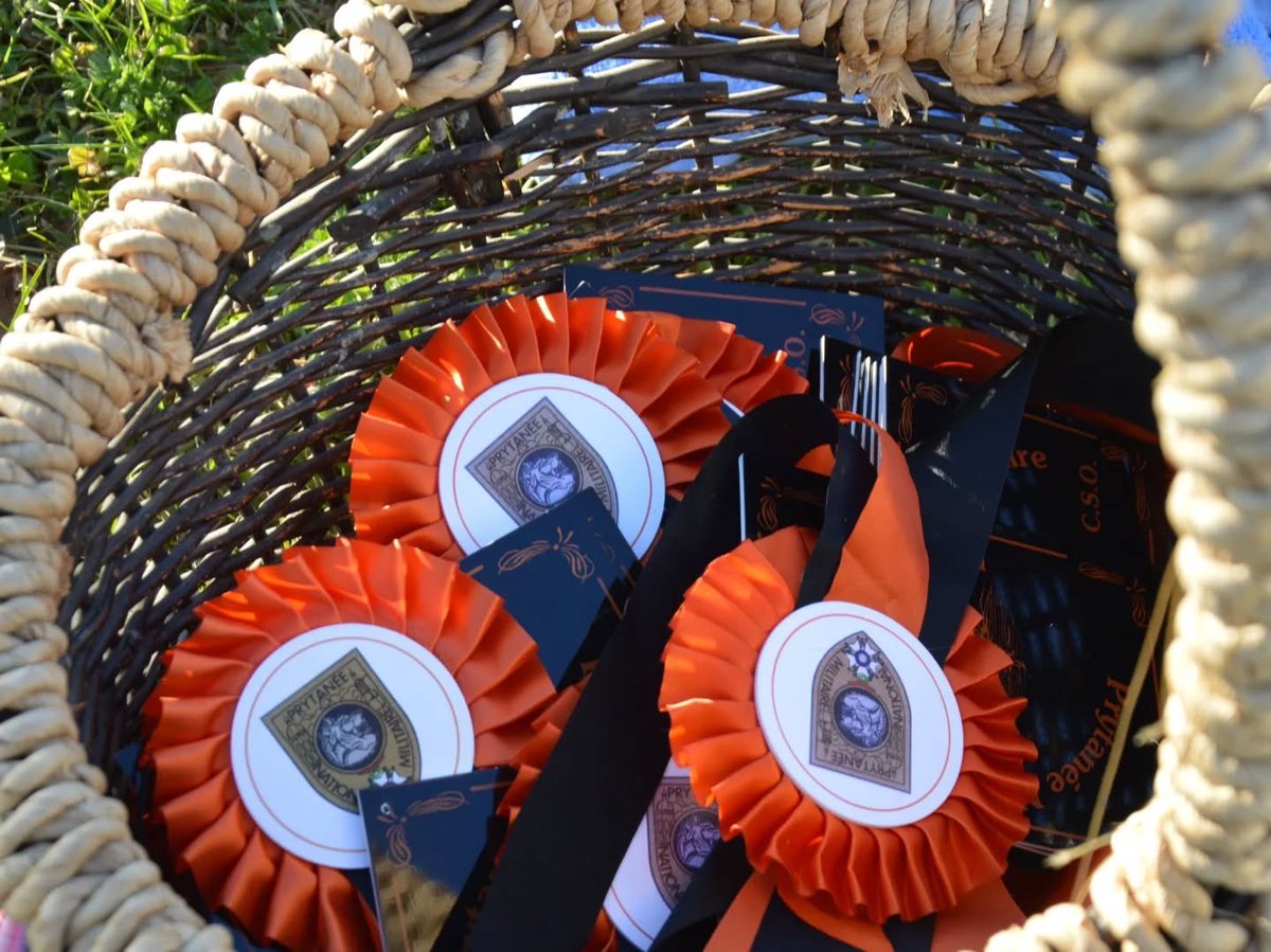 Direction ressources humaines de l'armée de Terre tweet media