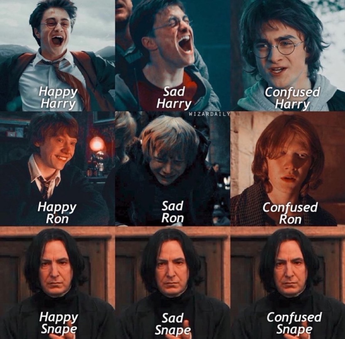TheDailyHPotter tweet picture