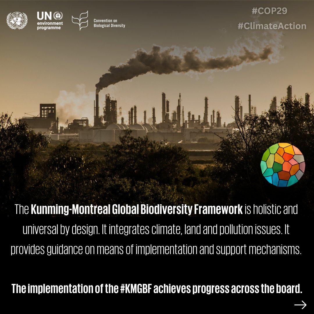 UNBiodiversity's tweet photo. The #KMGBF is a holistic, universal framework connecting climate, land, and pollution solutions with actionable support mechanisms. 🌿

It advances resilience, restores ecosystems, and addresses the climate impacts on biodiversity—paving the way for a healthier planet. https://t.co/eDzEi4sYjb