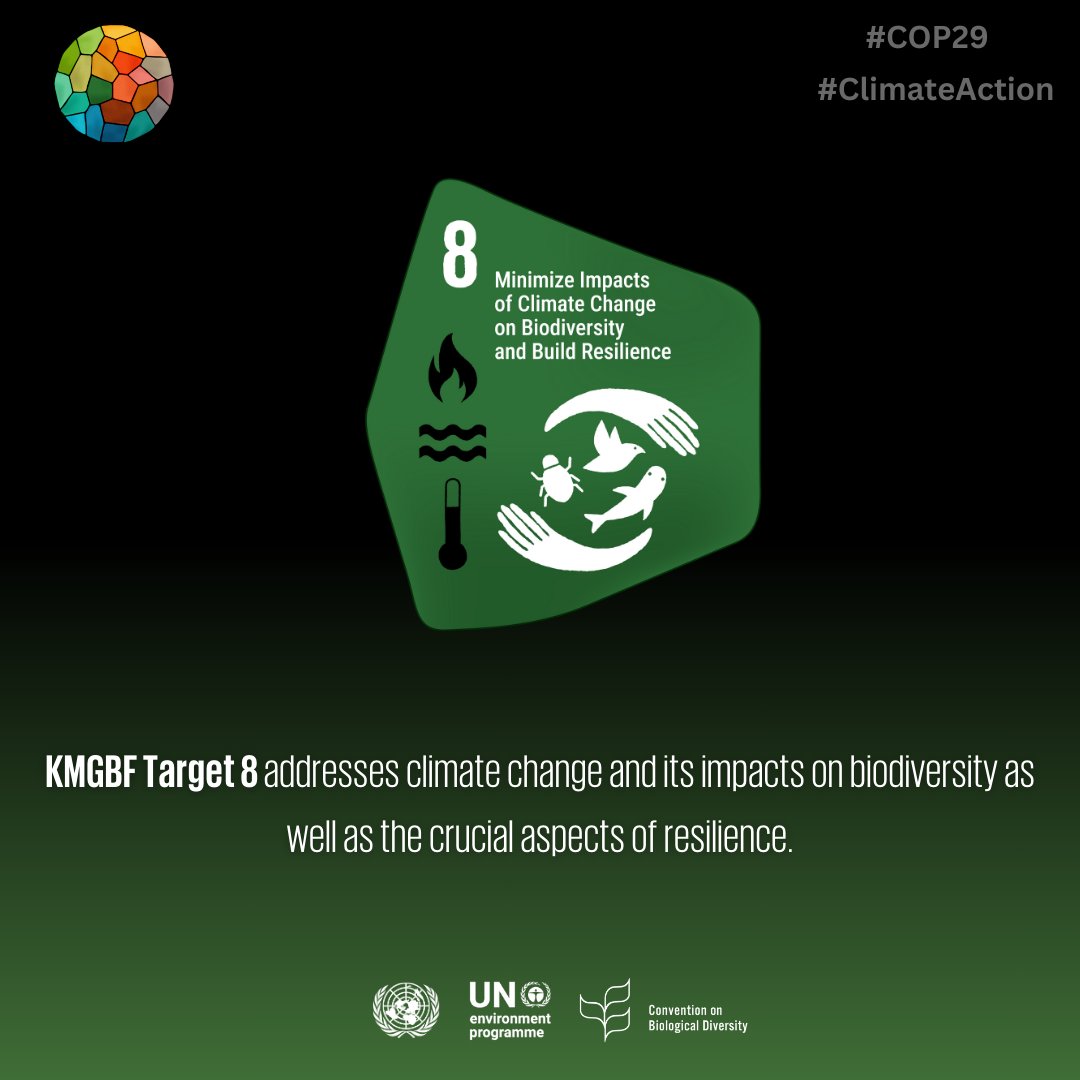 UNBiodiversity's tweet photo. The #KMGBF is a holistic, universal framework connecting climate, land, and pollution solutions with actionable support mechanisms. 🌿

It advances resilience, restores ecosystems, and addresses the climate impacts on biodiversity—paving the way for a healthier planet. https://t.co/eDzEi4sYjb