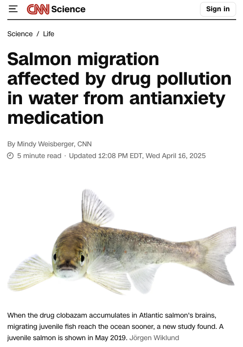 Michael Bertram (@michaelgbertram) on Twitter photo Salmon migration affected by drug pollution in water from antianxiety medication
Nice article by <a href="/CNN/">CNN</a> on our new paper in <a href="/ScienceMagazine/">Science Magazine</a>!
Read it here 👉 edition.cnn.com/2025/04/16/sci…
Read the paper here 👉 science.org/doi/10.1126/sc…
<a href="/JackAndrewBrand/">Jack Brand</a> <a href="/DrBrodin/">Tomas Brodin</a> <a href="/SLUwildresearch/">SLU Wild Research</a> Salmon migration affected by drug pollution in water from antianxiety medication
Nice article by <a href="/CNN/">CNN</a> on our new paper in <a href="/ScienceMagazine/">Science Magazine</a>!
Read it here 👉 edition.cnn.com/2025/04/16/sci…
Read the paper here 👉 science.org/doi/10.1126/sc…
<a href="/JackAndrewBrand/">Jack Brand</a> <a href="/DrBrodin/">Tomas Brodin</a> <a href="/SLUwildresearch/">SLU Wild Research</a>