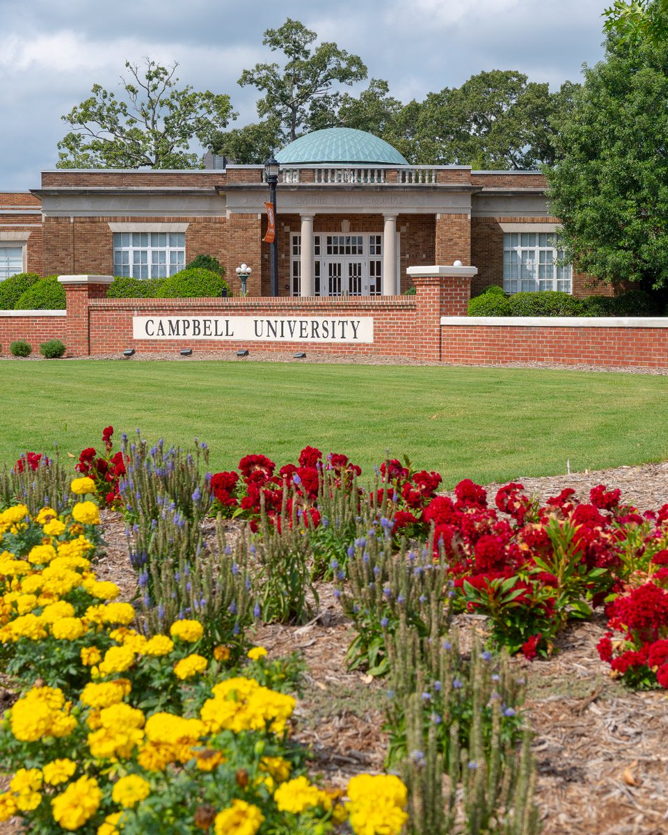 "Let no one despise you for your youth, but set the believers an example in speech, in conduct, in love, in faith, in purity." — 1 Timothy 4:12