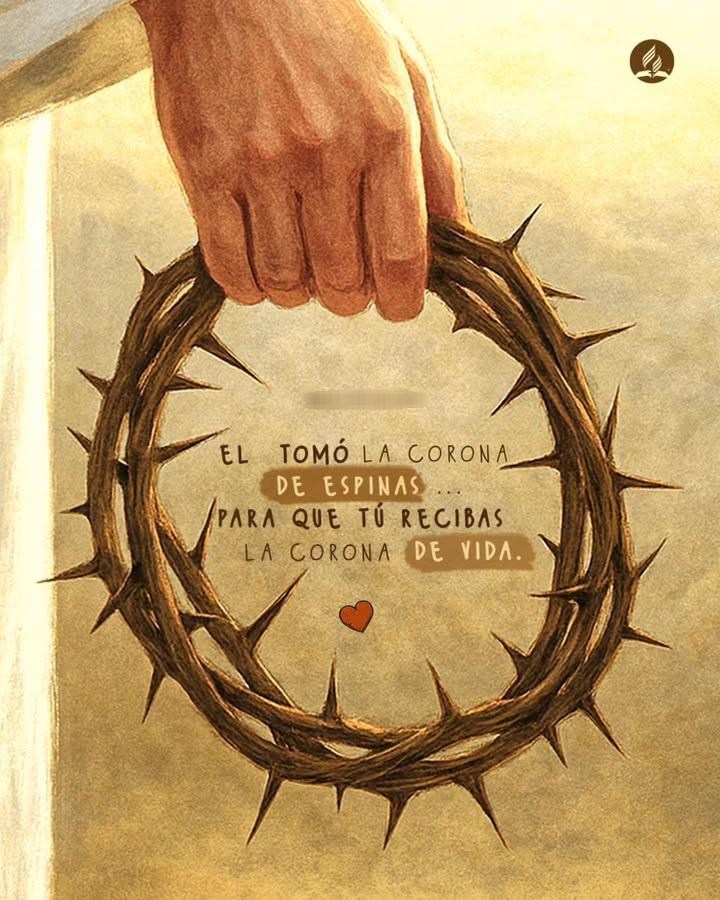 el Siervo (@elsiervo__) on Twitter photo 