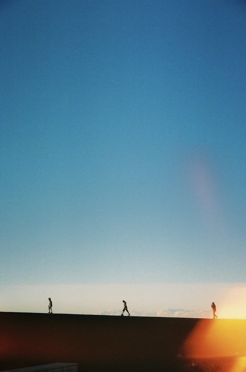 riven wolf tweet media