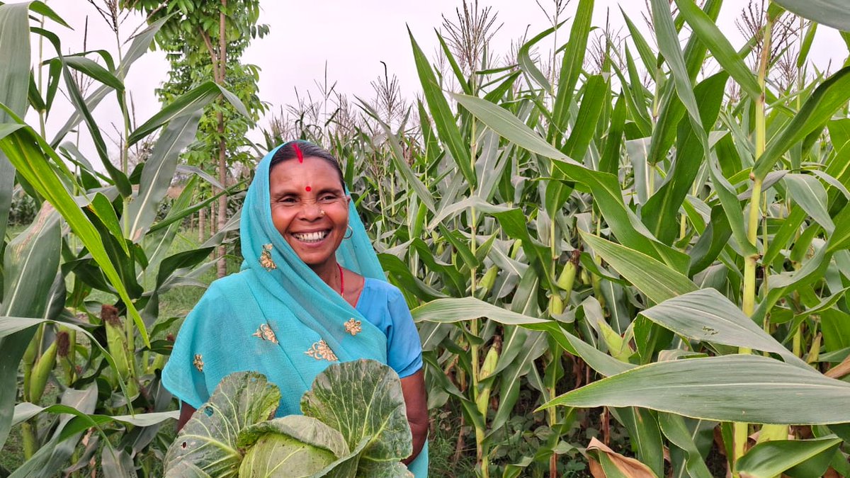 RJSonam's tweet photo. #HalfTheSky
Four days in the field with inspiring women lead farmers in #Kishanganj and #CoochBehar — Can't wait to share their stories of innovation, adaptability and leadership on the ground. #FieldNotes #Intercropping @CIMMYT https://t.co/MOZ5d4lyGx