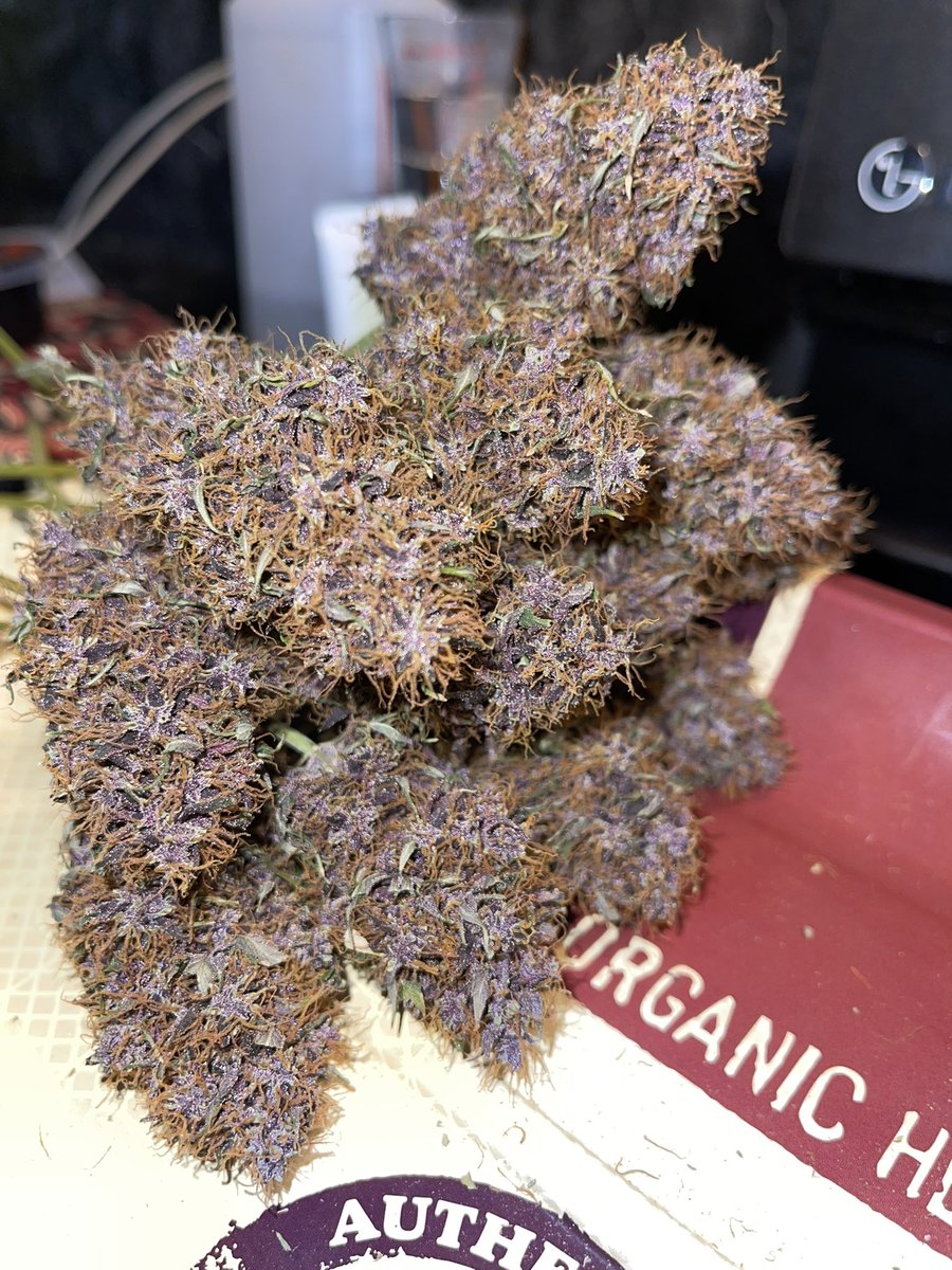 Tyd2it's tweet photo. The only type of bouquet I’m giving my girl 😮‍💨💨🍃🍃 https://t.co/ATnKoYbPWk