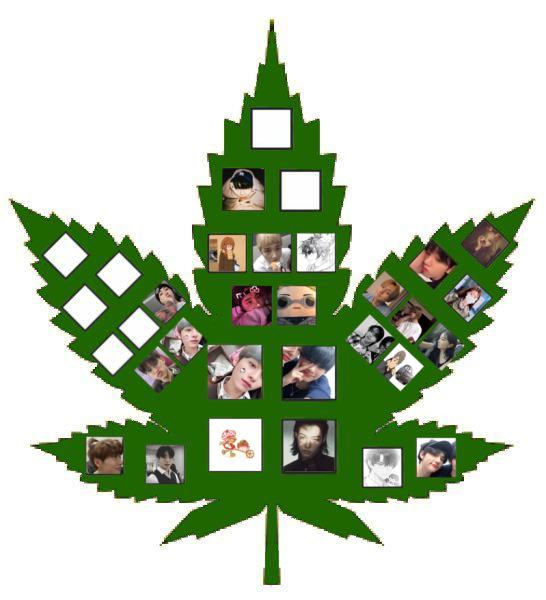 camcam tweet media