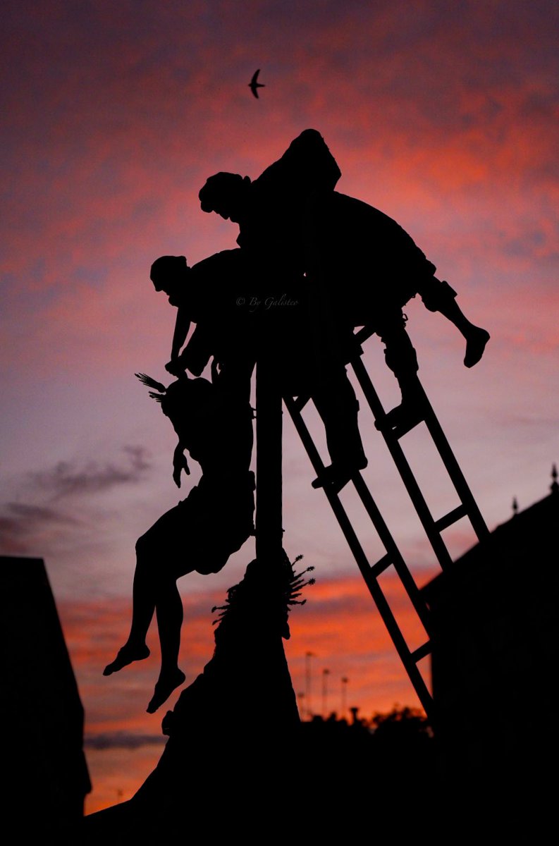 El peso del cielo, contenido en un suspiro.
✝️ #JuevesSanto #SilencioQueDuele #semanasantasevilla2025 <a href="/abcdesevilla/">ABC de Sevilla</a> <a href="/Jartible_/">Javier Abad</a> <a href="/ElConsejoSev/">Consejo HH y CC Sevilla</a> <a href="/QuintaAngustia_/">Hermandad de la Quinta Angustia</a>