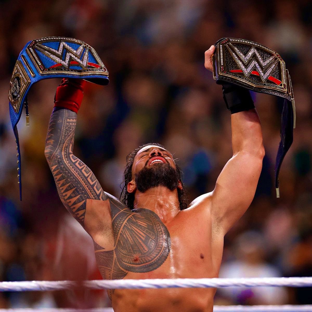 Acknowledge, Your Tribal Chief. 

(That’s it)