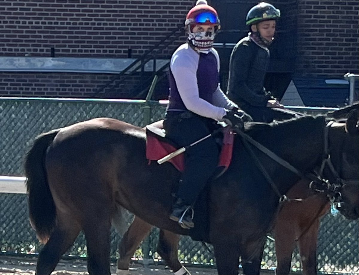 Joseph A. Irace (@josephirace) on Twitter photo Welcome to the family Te Amo and One Bad Habit! Come watch these two <a href="/njbreds/">New Jersey-breds</a> race at <a href="/MonmouthPark/">Monmouth Park</a> this summer! Both will be trained by <a href="/KeithanRachael/">Rachael Keithan</a> and we look forward to watching them grow and run! ๐๐ Welcome to the family Te Amo and One Bad Habit! Come watch these two <a href="/njbreds/">New Jersey-breds</a> race at <a href="/MonmouthPark/">Monmouth Park</a> this summer! Both will be trained by <a href="/KeithanRachael/">Rachael Keithan</a> and we look forward to watching them grow and run! ๐๐