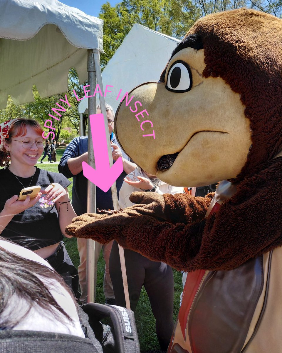UMDEntomology's tweet photo. 🌎🪲#InsectTerps unite at University of Maryland's Earth Fest to proudly share the important roles insects play in maintaining healthy ecosystems. For more on ecosystem services these animals provide, check out #GradTerp blog by Helen Craig...https://t.co/kbz3xVhXcm🪲🌎 https://t.co/oYyVstI4Qh