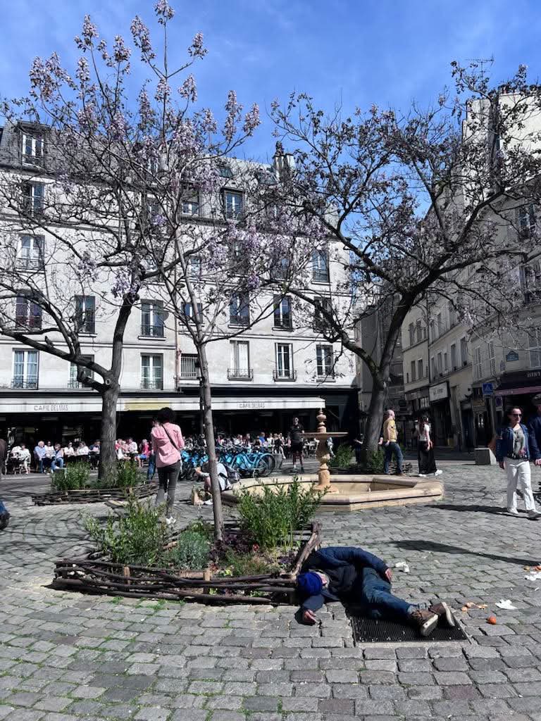 OliverTweete 🦊 tweet media