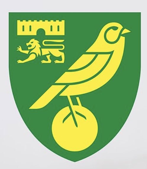 BillytheBlade's tweet photo. @SallyIsADog just watched one of your latest vids on WZ and noticed you wearing a Canaries shirt!!!!! WTH, welcome to the Canaries! Any reason why Norwich? https://t.co/PSp2KSjZu2