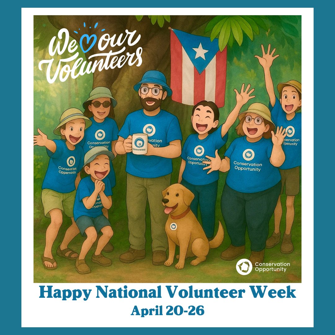 ConservationOpp's tweet image. Amamos a nuestros voluntarios!!

En Conservation Opportunity queremos agradecer a todos los voluntarios que forman parte de nuestra comunidad, su tiempo, energía, y corazones hacen de nuestro trabajo uno brillante y posible. 

#NationalVolunterWeek #ThankYouVolunteers