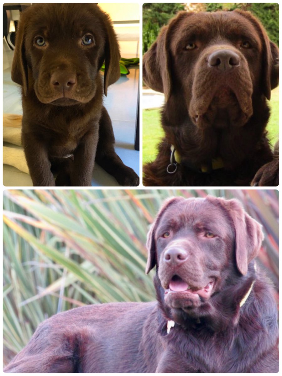 Johan Bruyneel 🇧🇪 tweet media