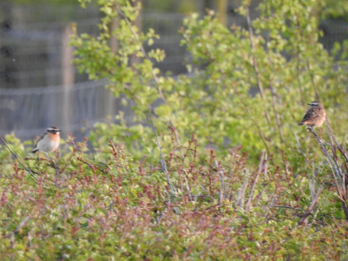 Gary Stones tweet media