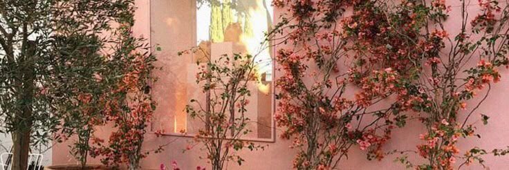 "Kapıyı kapatmak zorunda kalmış ama, 
pencere kenarında ömür harcamış."