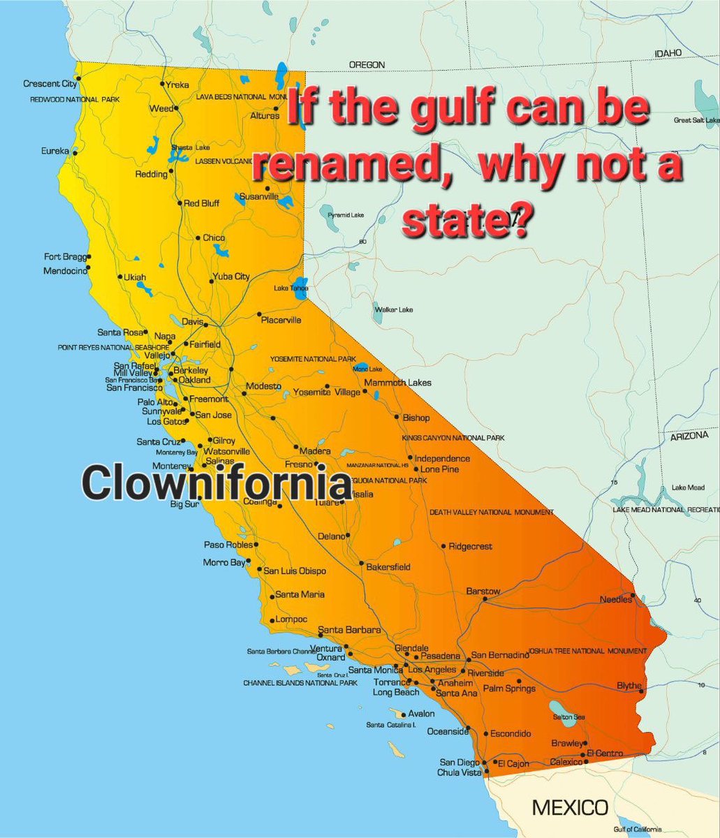 Rebel Prazz tweet media