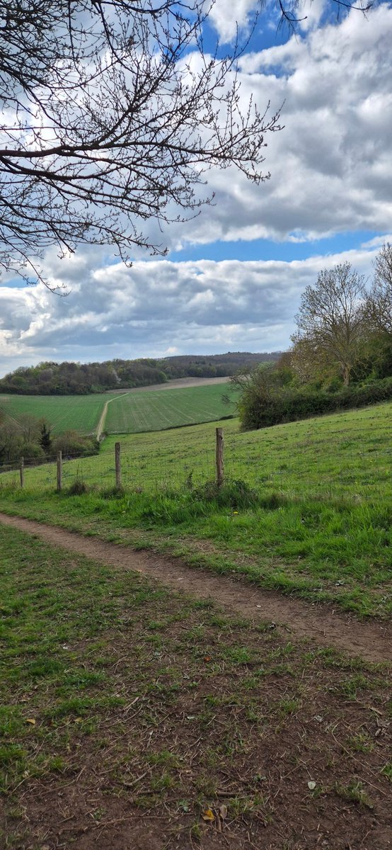 nourishworkplce's tweet photo. Helping my daughter with her coursework is not hard when it involves a lovely walk in the sunshine.
#40daysofpositivity https://t.co/z9qIohfHiF