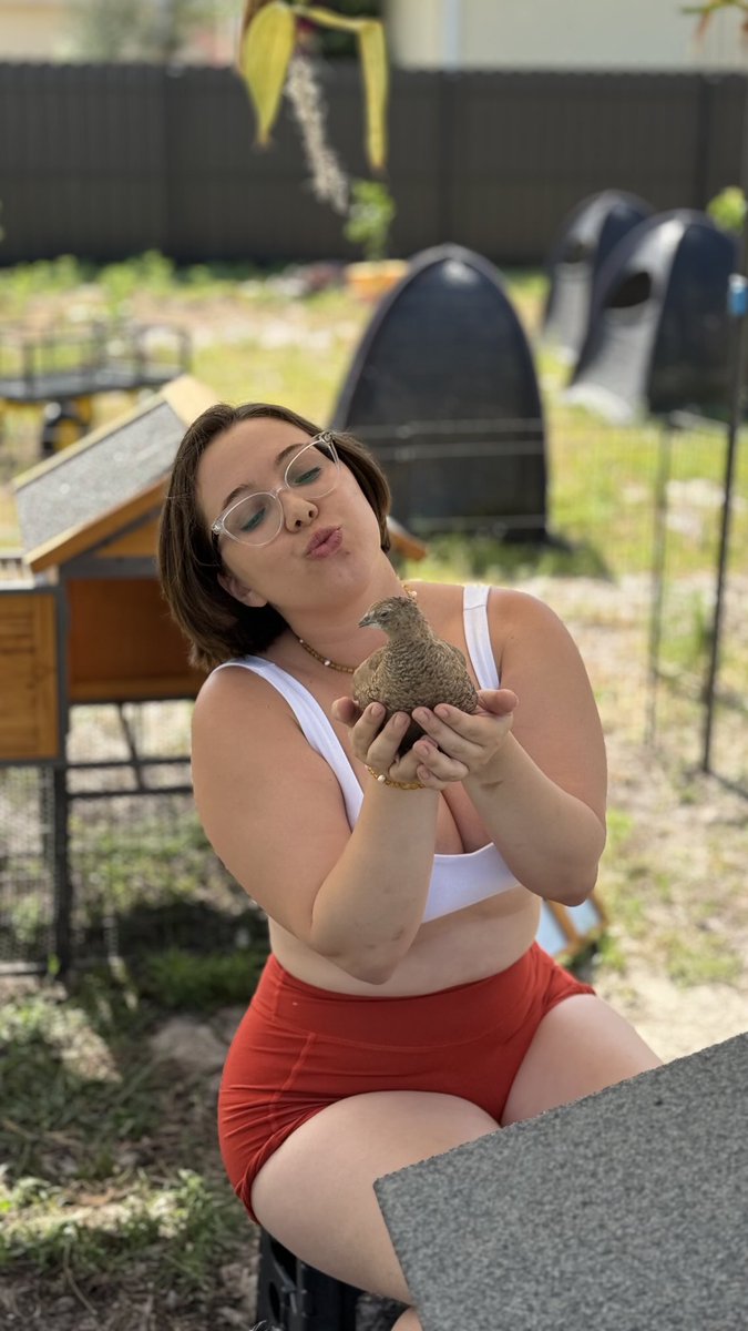 But why are quail are so cute https://t.co/JfMMaKE7VW