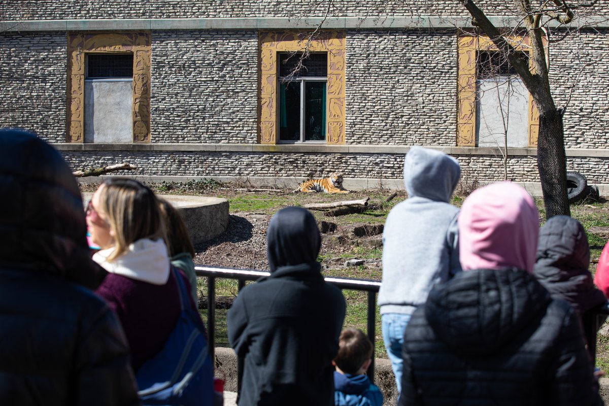 Buffalo Zoo tweet media