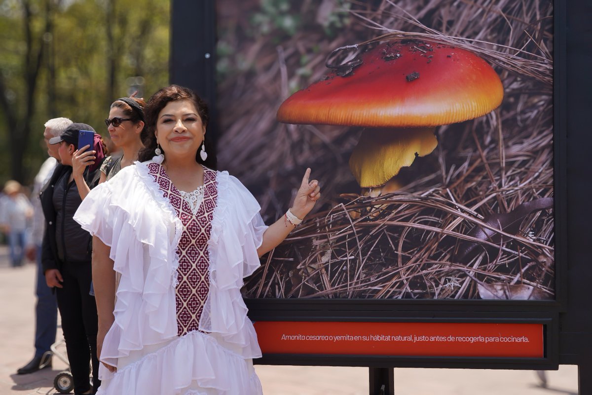 ClaraBrugadaM's tweet image. Inauguramos el @BosqueFest Spora 2025 que contará con más de 200 actividades gratuitas del 17 al 27 de abril. Esta cuarta edición está dedicada a los hongos y su papel esencial en la vida. Reconocemos el esfuerzo del sector público y de la iniciativa privada que ha hecho posible…