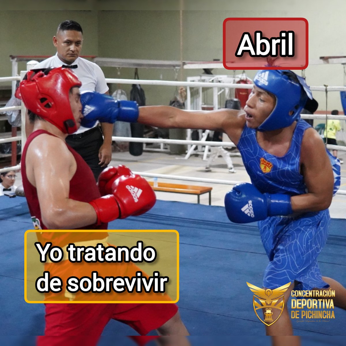 #Boxeo 🥊| ¡Un feriado de combate! 💥
Continúa el Campeonato Nacional Juvenil de Boxeo. 💪 
🗓 16 al 19 de abril
📍Puerto Quito
#CampeonatoNacional #Ecuador #PuertoQuito